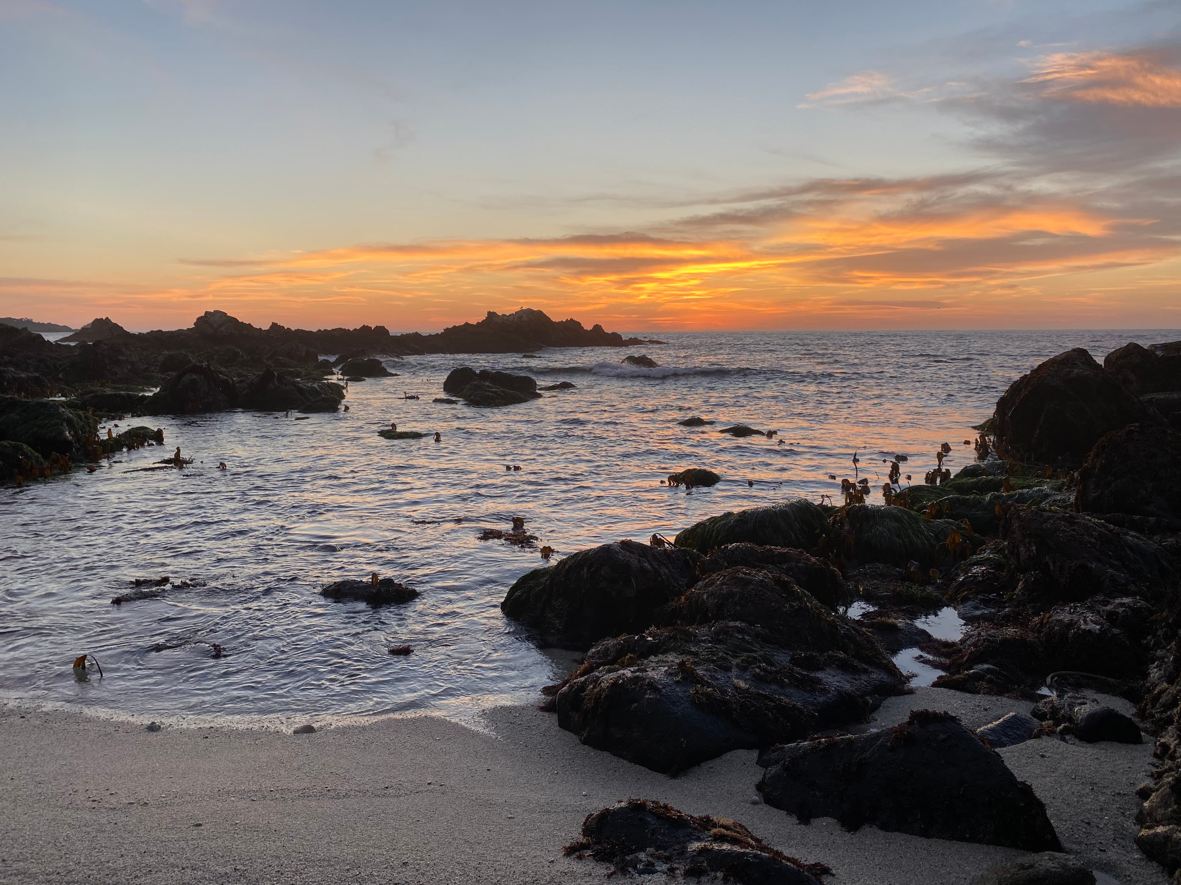 Carmel State Beach backdrop